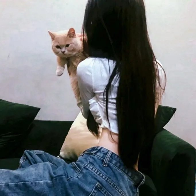 怪盗山猫
